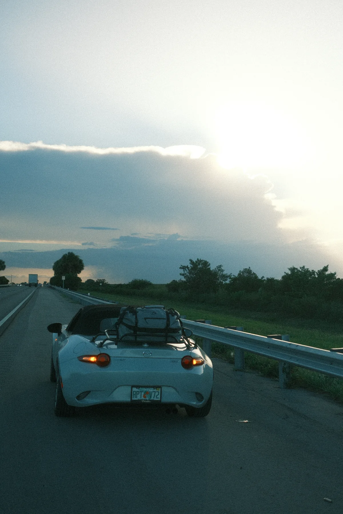 alligator alley 07222026 — 3