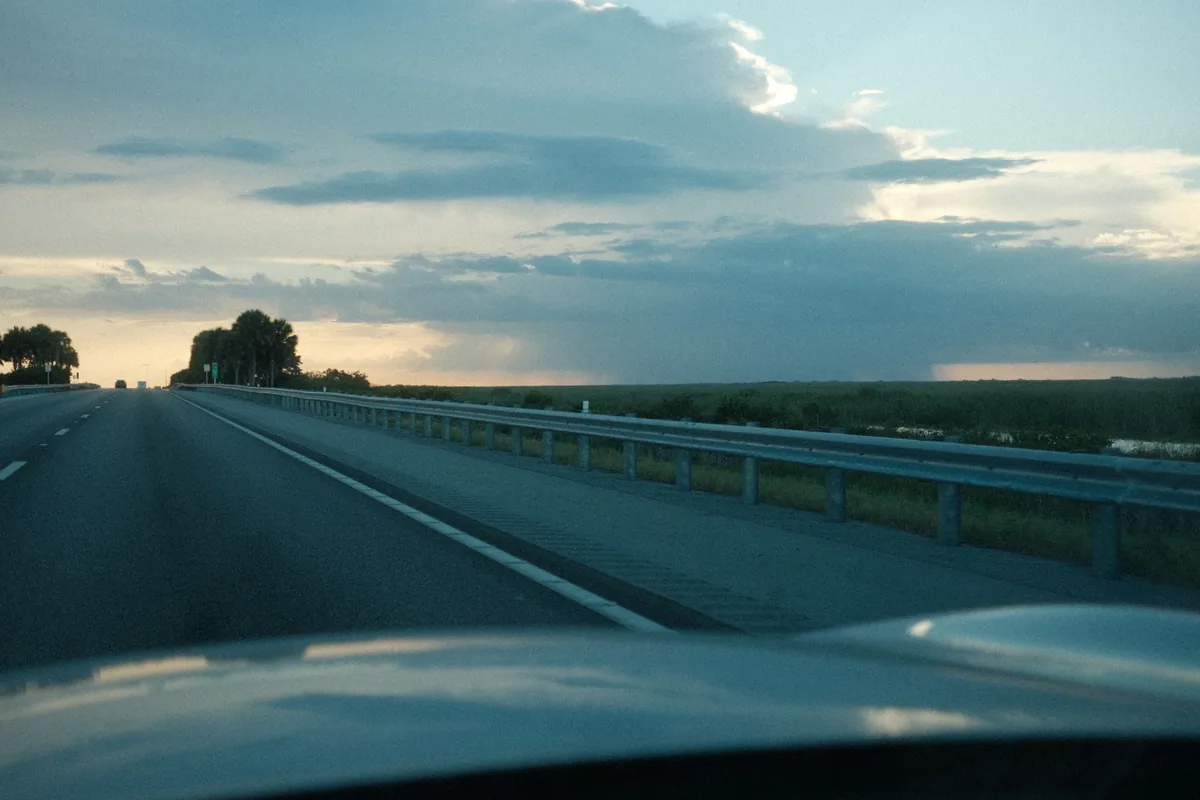 alligator alley 07222026 — 2