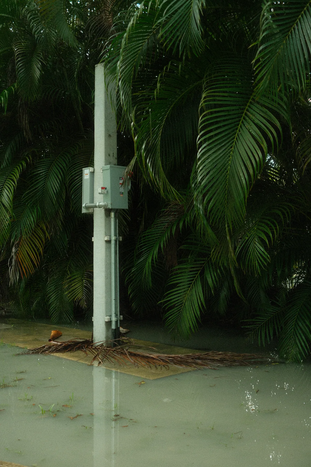 south miami : pinecrest 05312026 — 5