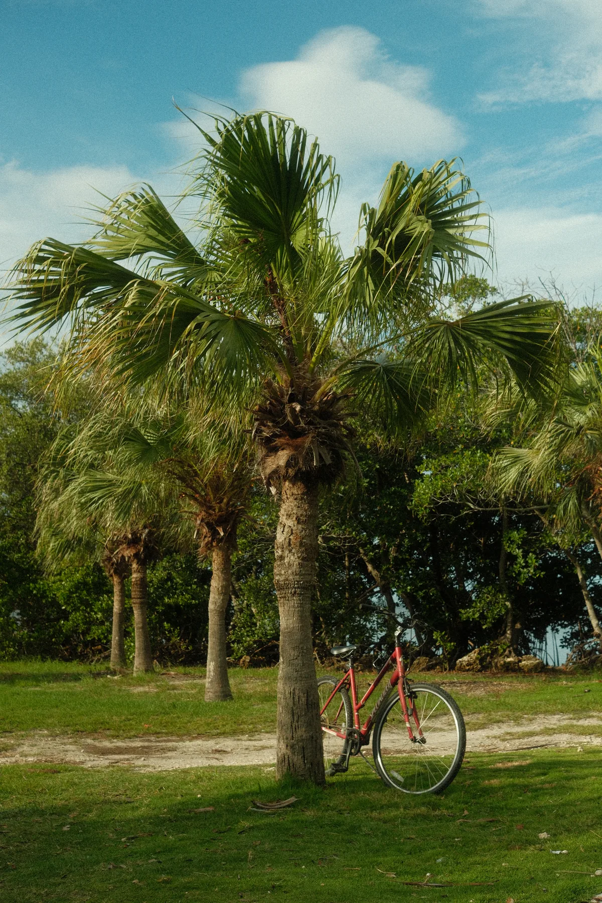 south miami : pinecrest 05312026 — 3