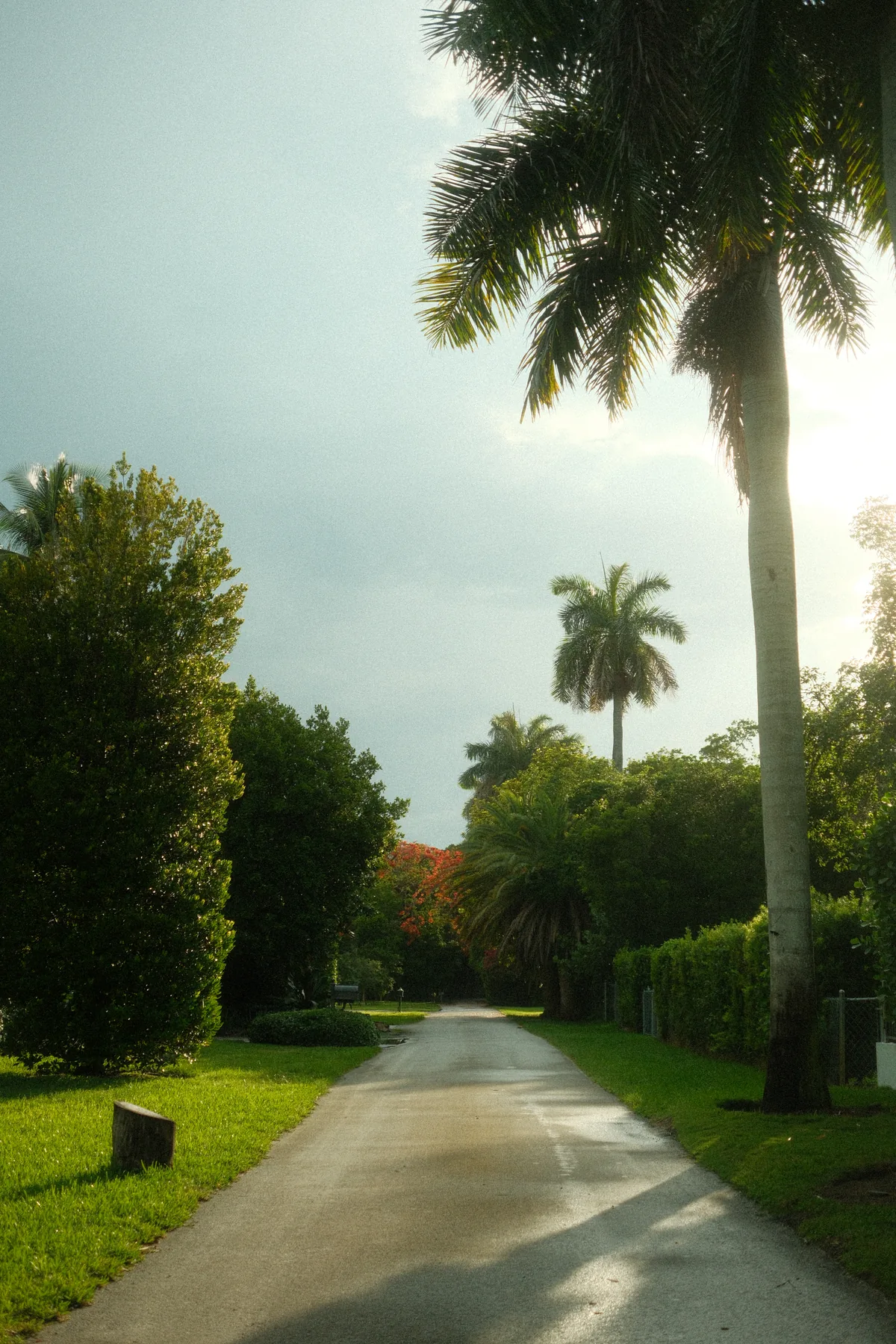 south miami : pinecrest 05312026 — 2